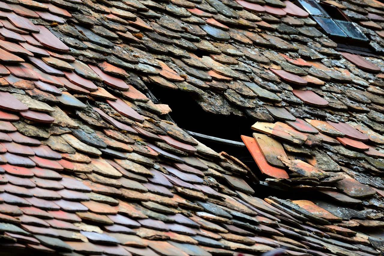 5 Signs You Need Emergency Roof Repair